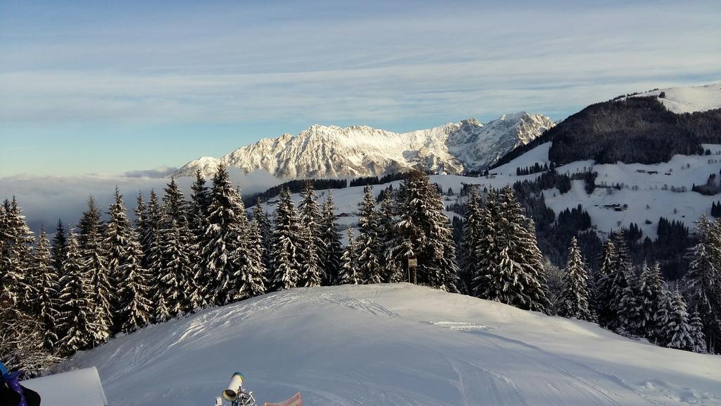 Apartments Scheffau Scheffau am Wilden Kaiser Bagian luar foto